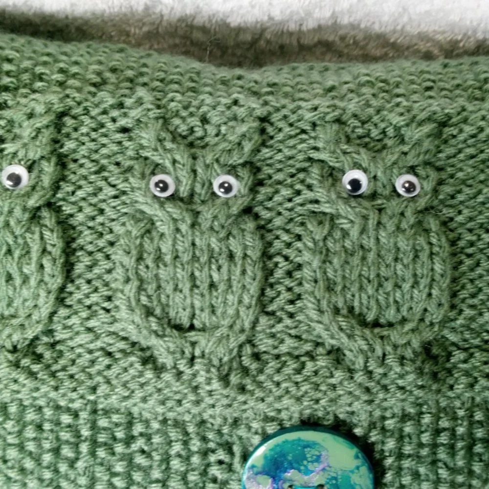 Hand Crafted Pillow Knit Sage Green Owl Googly Eye Hand Painted Button H…